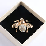 Cute White Cubic Zirconia Bee Brooch in Gold, Silver or Black and Gold - BELLADONNA